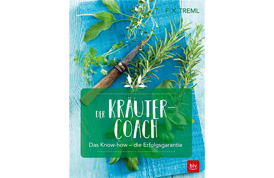 Buch des Monats Mai