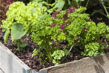 Fruchtfolge aufzeichnen