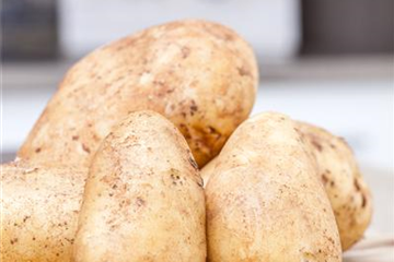 Frühkartoffeln ernten