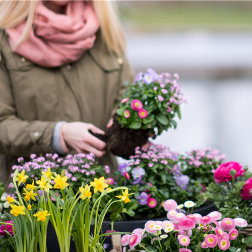 Gartenkalender April 2025