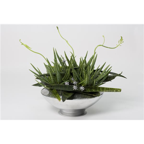 Grüne Geschenkideen