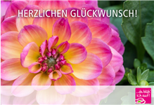 Versand Gutschein